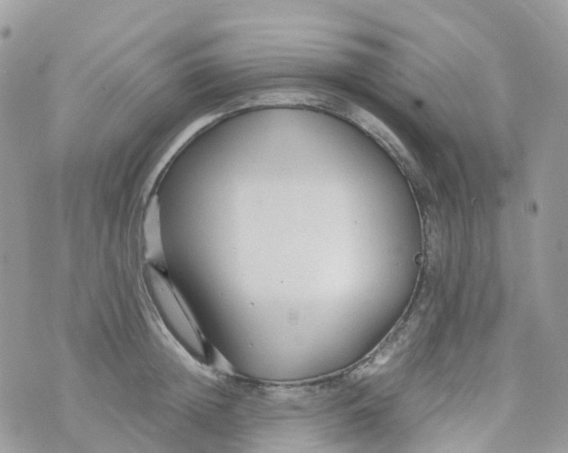 X0000070390852200606301944