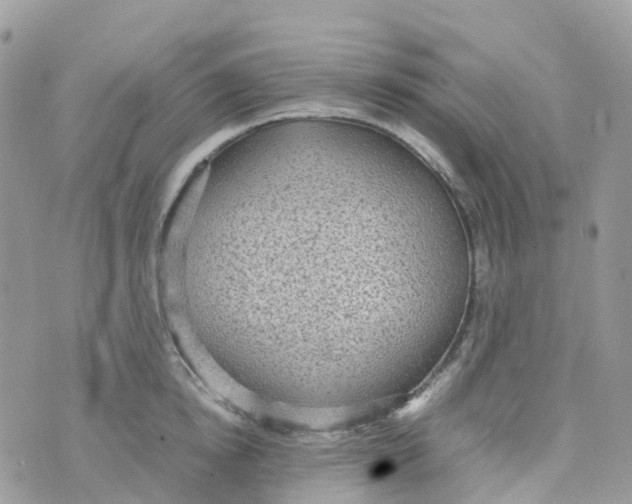 X0000070390854200606301944