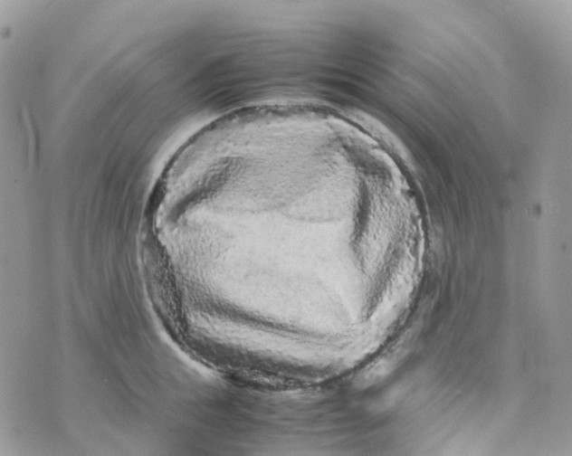 X0000070390855200606301944