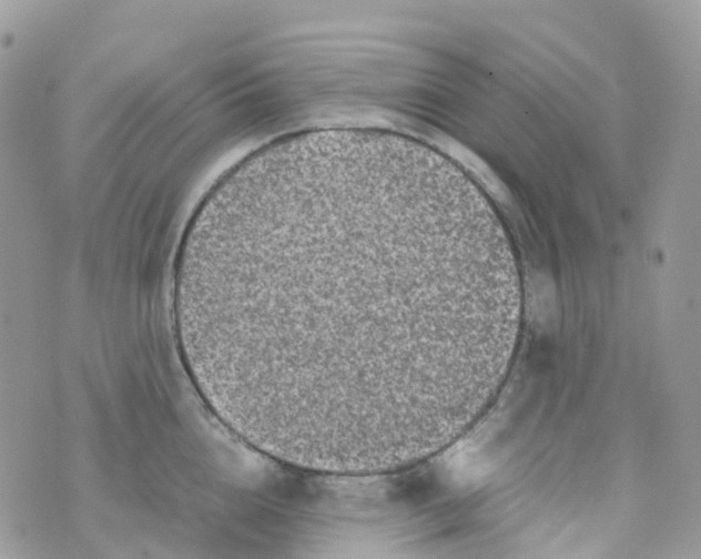 X0000070390856200606301944