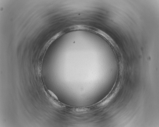 X0000070390857200606301944