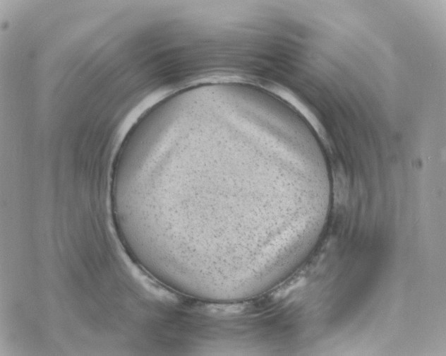 X0000070390861200606301944