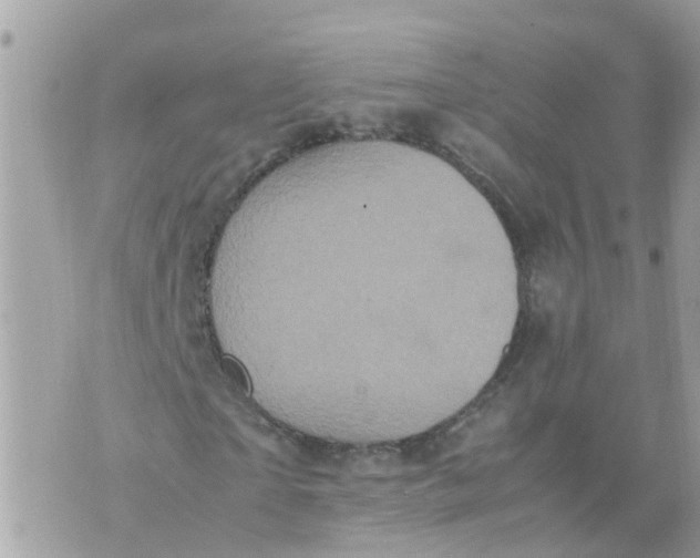 X0000070390865200606301944