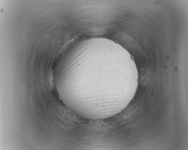 X0000070390866200606301944