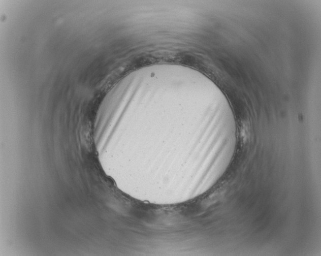 X0000070390867200606301944