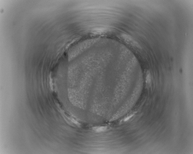 X0000070390868200606301944