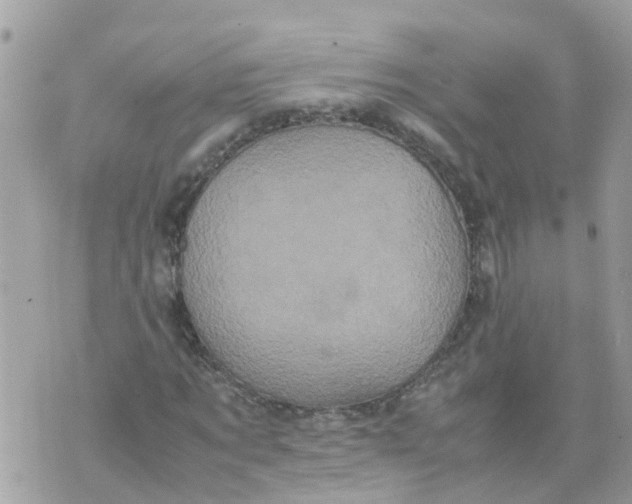 X0000070390869200606301944