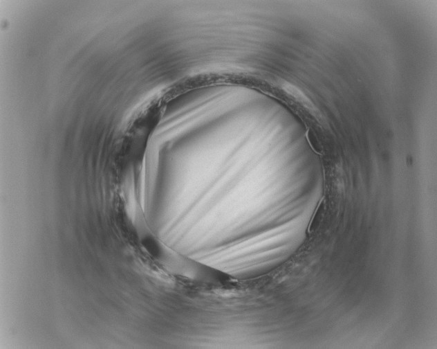 X0000070390872200606301944