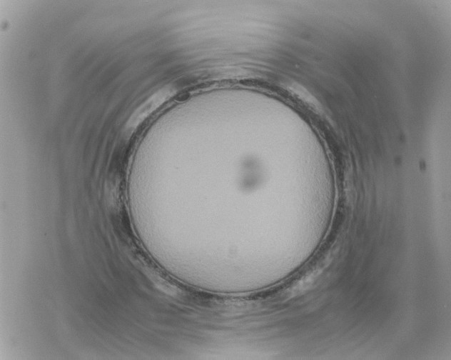 X0000070390873200606301944