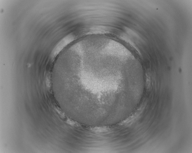 X0000070390874200606301944