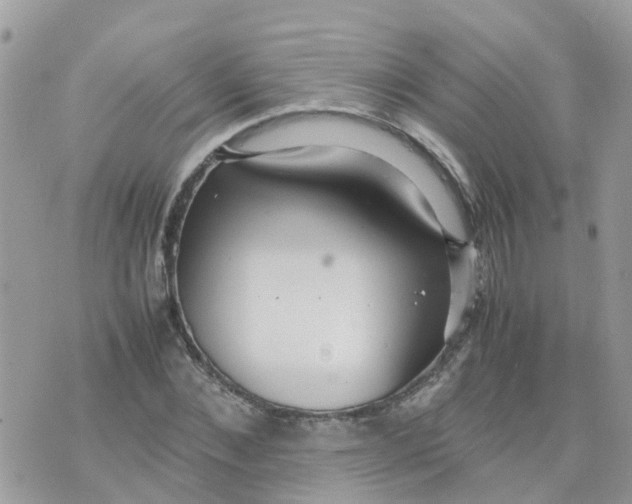 X0000070390876200606301944