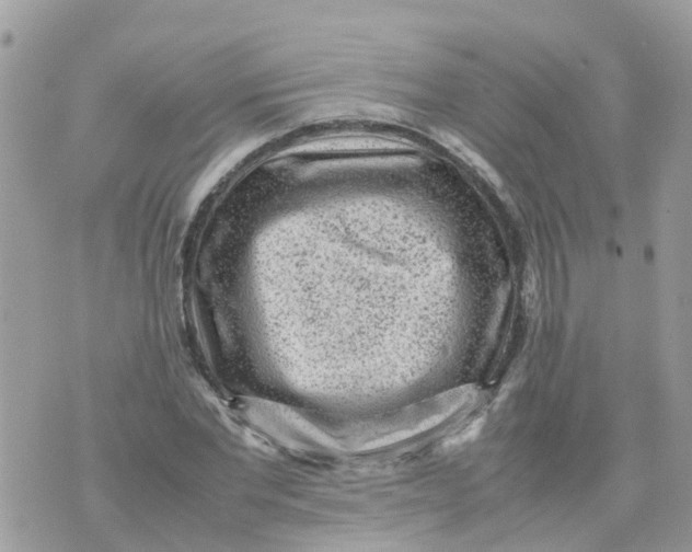 X0000070390877200606301944