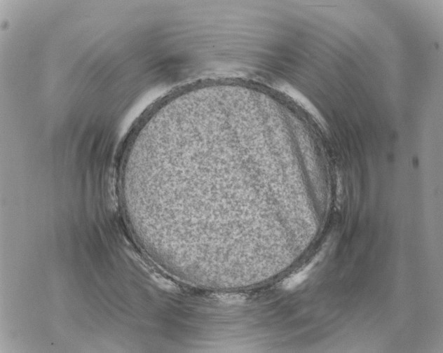 X0000070390878200606301944