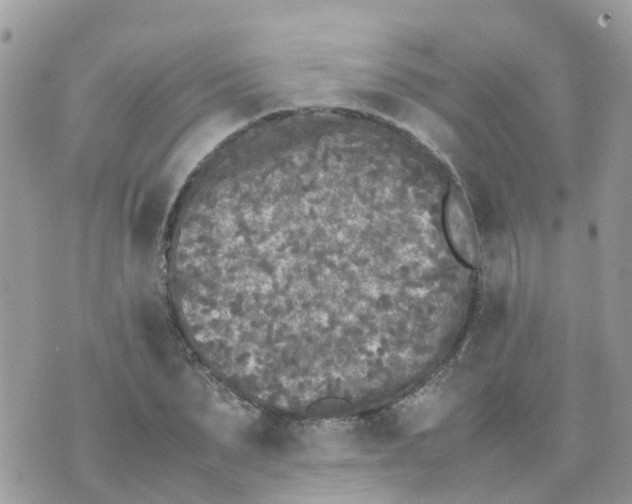 X0000070390879200606301944