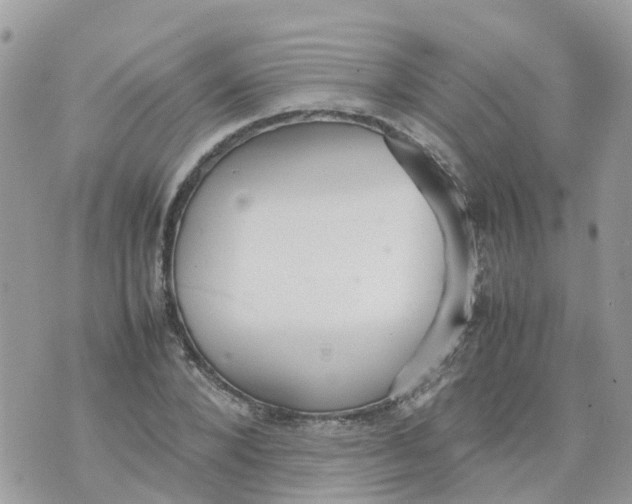 X0000070390880200606301944