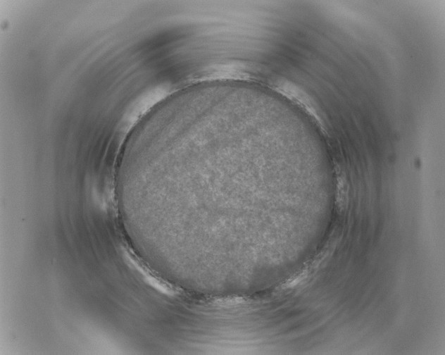 X0000070390882200606301943