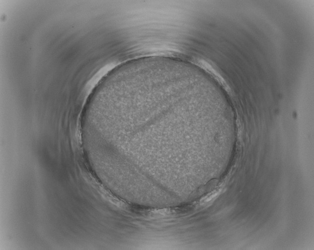 X0000070390883200606301943