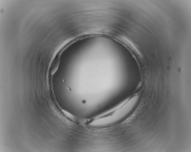 X0000070390884200606301943