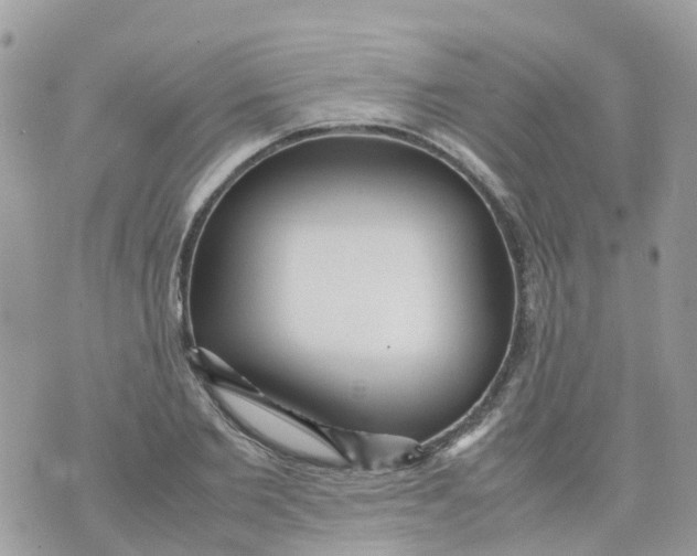 X0000070390885200606301943