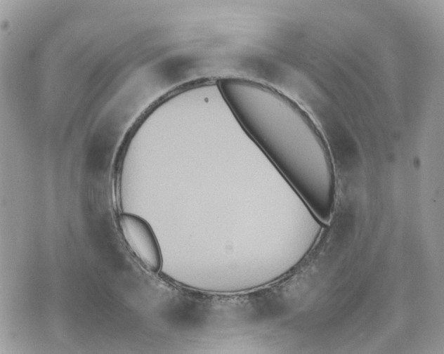 X0000070390887200606301943