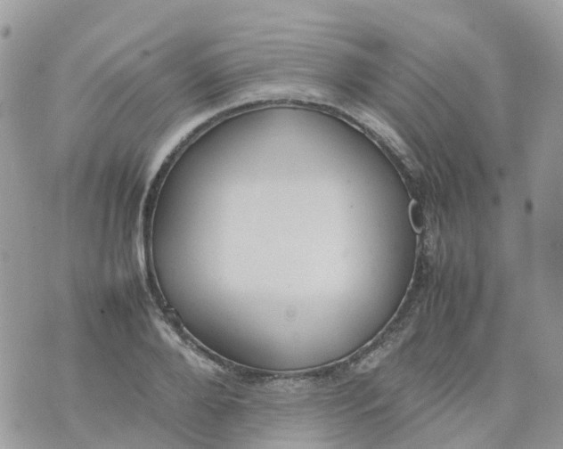 X0000070390888200606301943