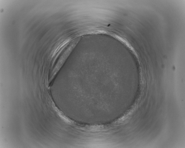 X0000070390889200606301943