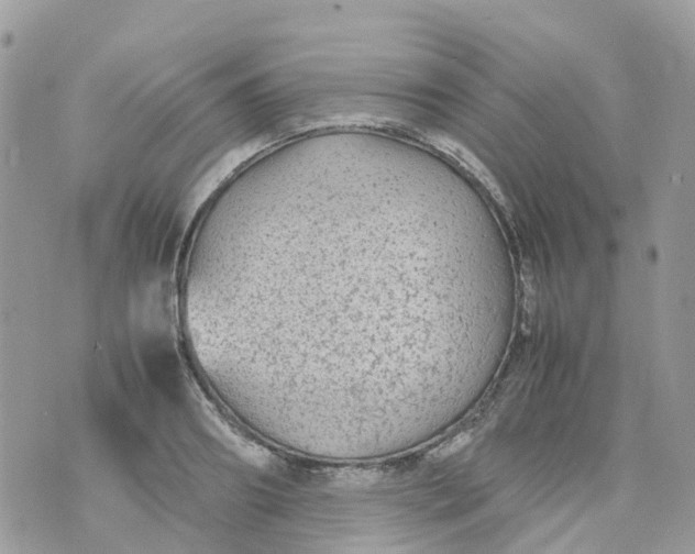 X0000070390890200606301943