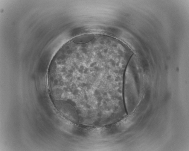 X0000070390891200606301943