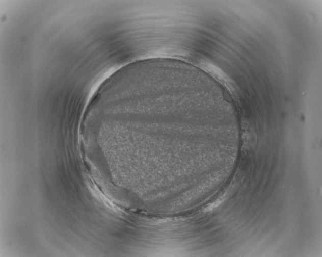 X0000070390892200606301943