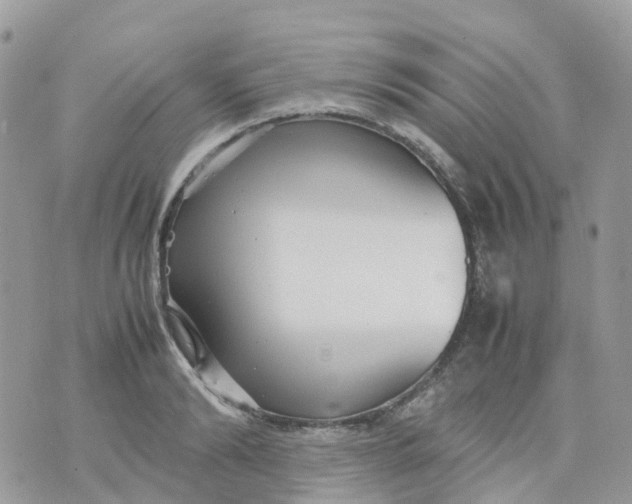 X0000070390894200606301943