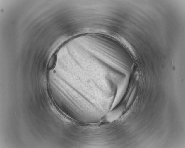 X0000070390896200606301943