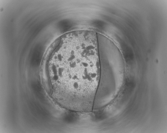 X0000070390899200606301943