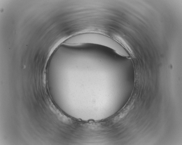 X0000070390900200606301943