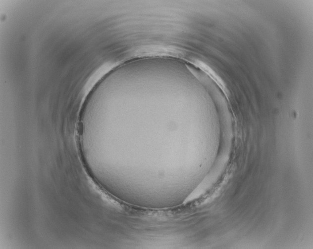 X0000070390901200606301943