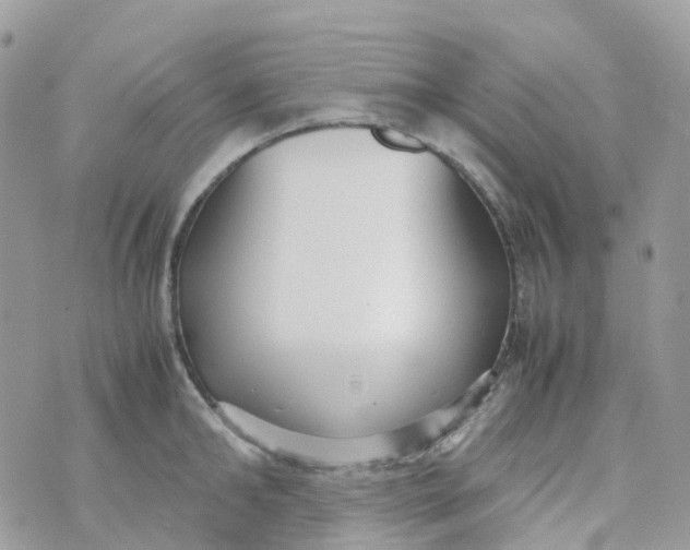 X0000070390902200606301943