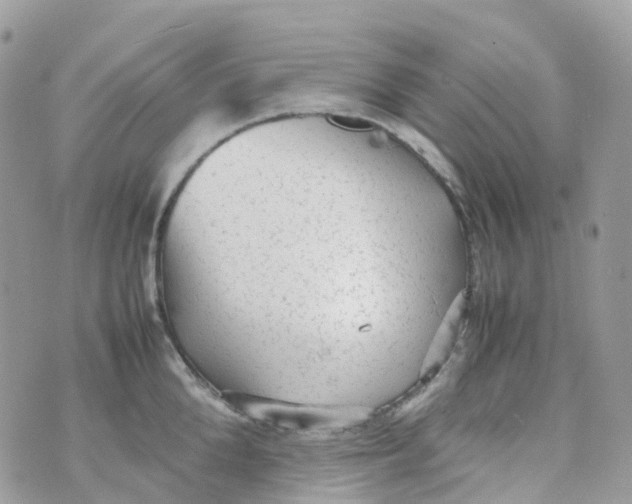 X0000070390904200606301943