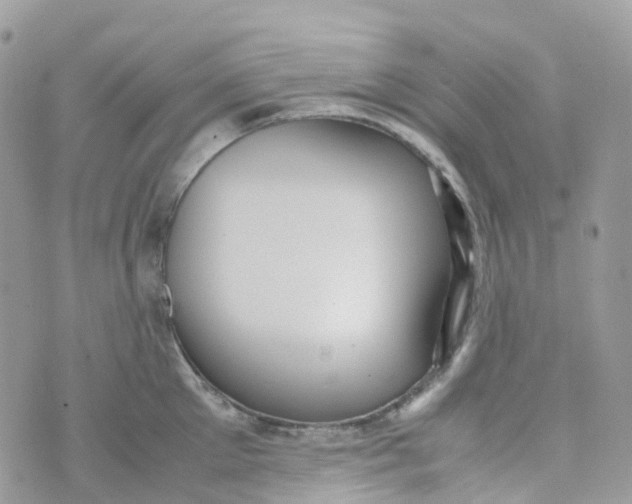 X0000070390905200606301943