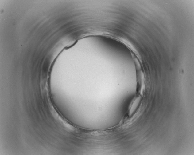 X0000070390906200606301943