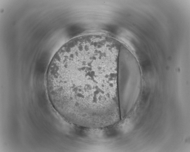 X0000070390907200606301943