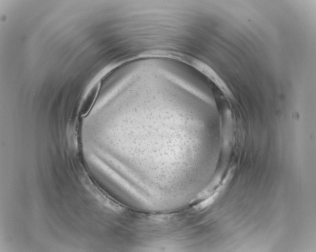 X0000070390908200606301943