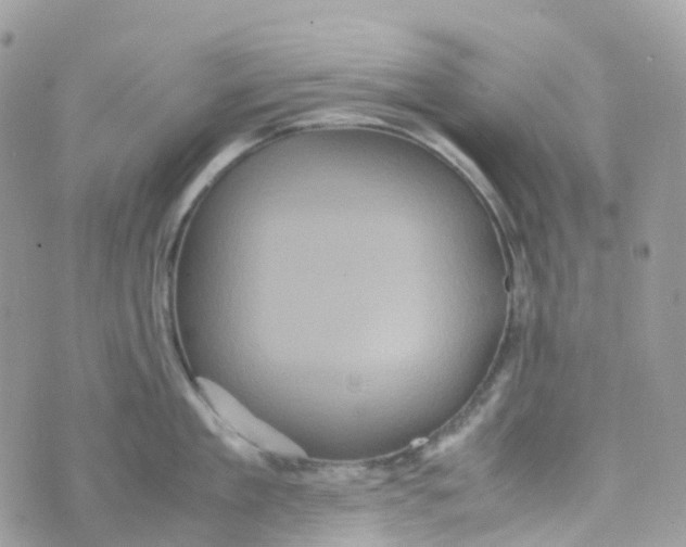 X0000070390909200606301943