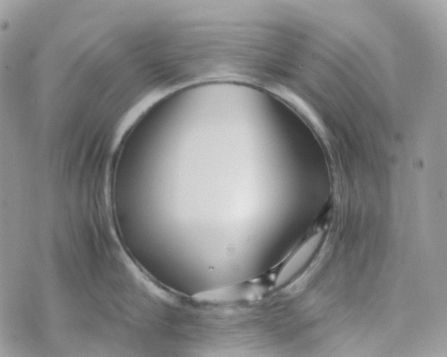 X0000070390910200606301943