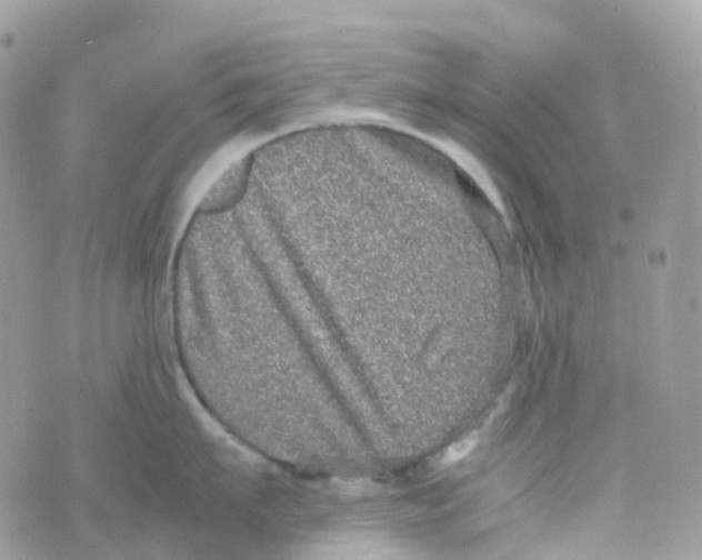 X0000070390911200606301943