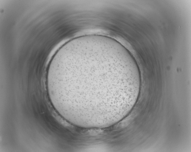 X0000070390912200606301943