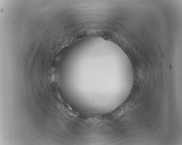 X0000070390914200606301942