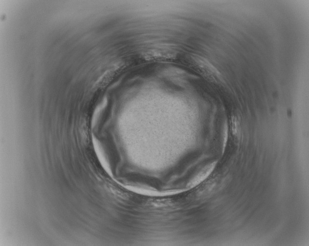 X0000070390915200606301942