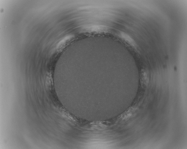 X0000070390918200606301942