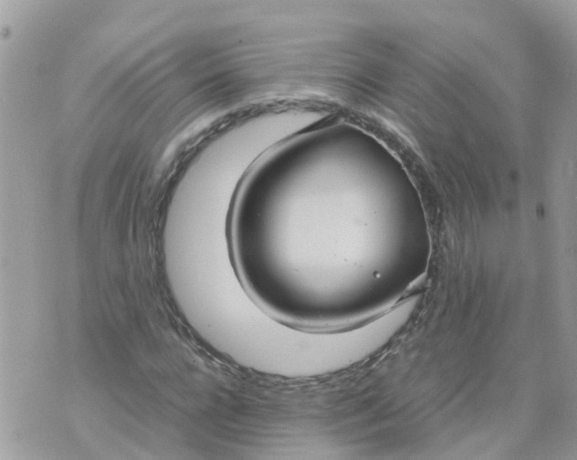 X0000070390920200606301942