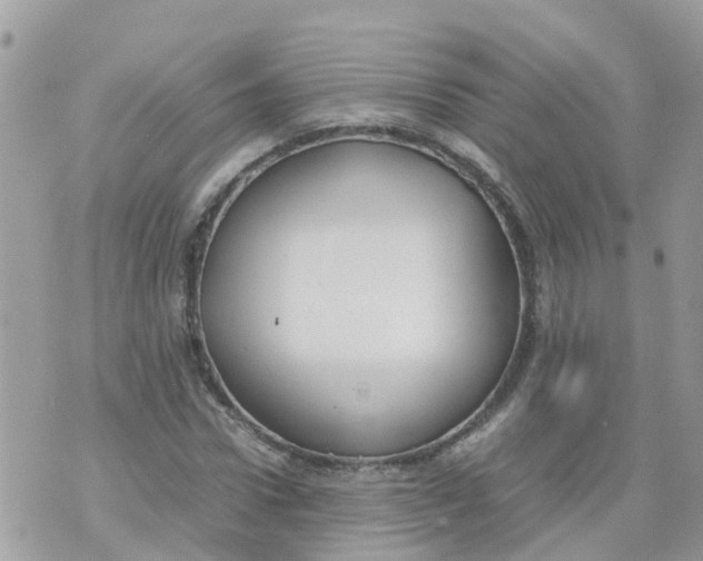 X0000070390922200606301942