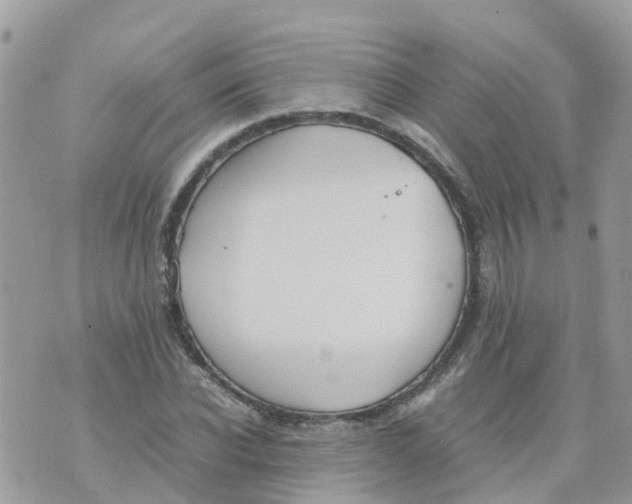 X0000070390926200606301942